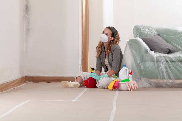 Reliable Mold Remediation contractor in Gresham, OR by WQB Mold Removal